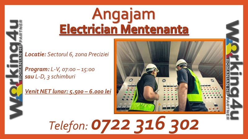 Electrician mentenanta